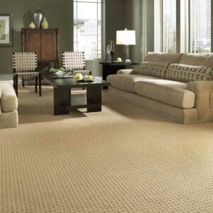 Living room Carpet | Specialty Flooring