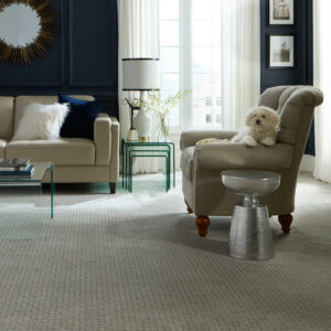 Puppy on couch | Specialty Flooring