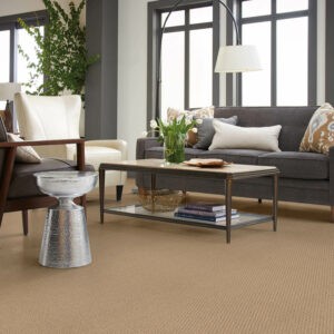Living room Carpet flooring | Specialty Flooring