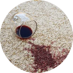 carpet-care-img carpet-care-img