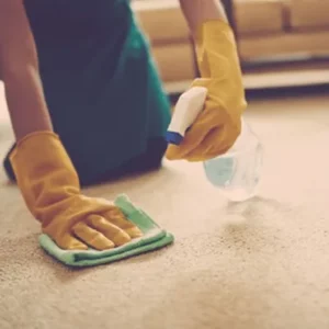 Area-Rugs-Care-img Area-Rugs-Care-img